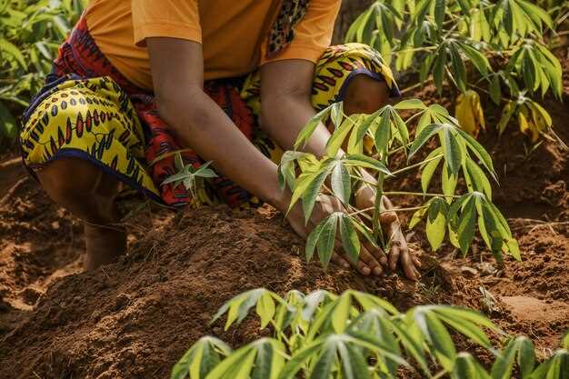 Enhancing Research and Development: Innovations for Agricultural Advancement