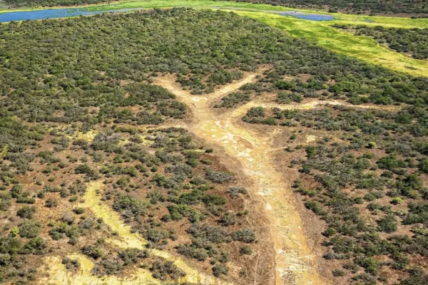 Can you do Kakadu without a tour