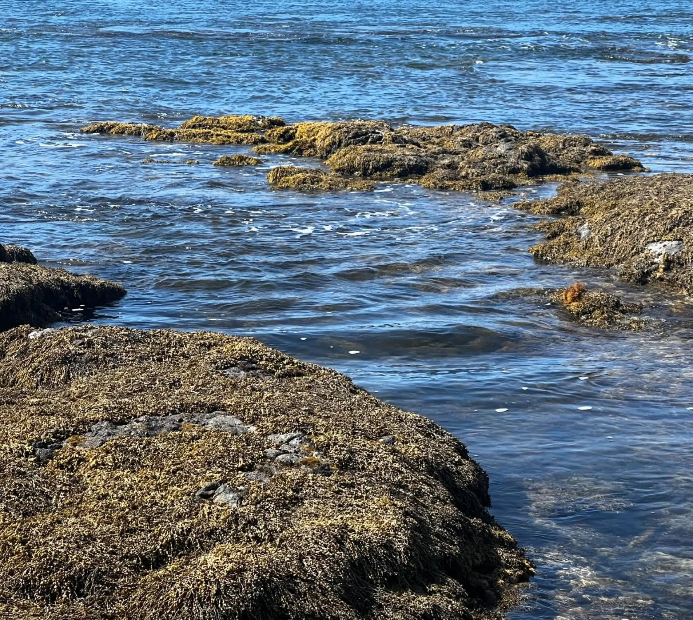 volcanic rock formations