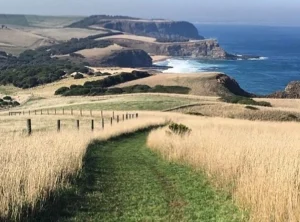 Woolamai Beach
