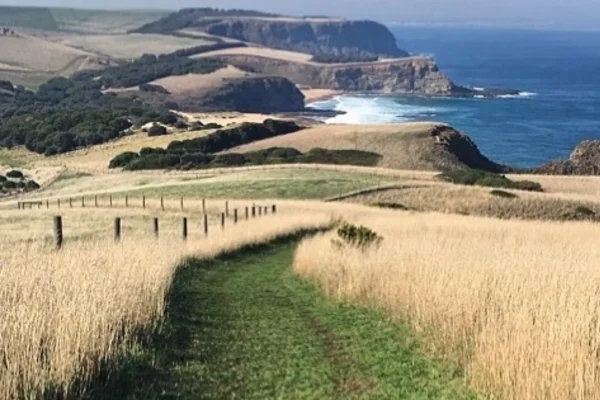 Woolamai Beach
